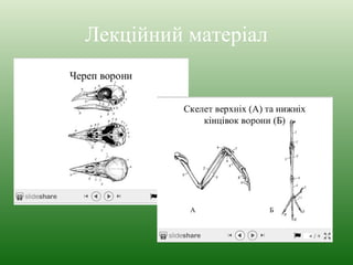 Лекційний матеріал 
 