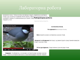 Лабораторна робота 
 