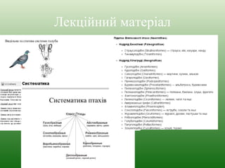 Лекційний матеріал 
 