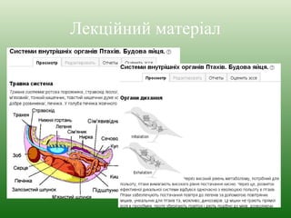 Лекційний матеріал 
 