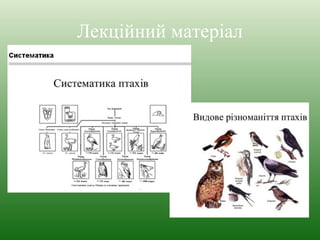 Лекційний матеріал 
 