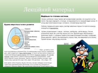 Лекційний матеріал 
 