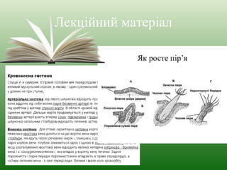 Лекційний матеріал 
 