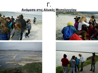 Γ. 
Ανάμεσα στις Αλυκές Μεσολογγίου 
 