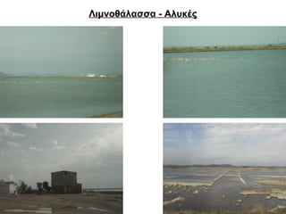 Λιμνοθάλασσα - Αλυκές 
 