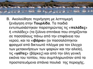 Β. Ακολούθησε περιήγηση με λεπτομερή 
ξενάγηση στην Τουρλίδα. Τα παιδιά 
εντυπωσιάστηκαν παρατηρώντας τις «πελάδες» 
ή «πιλάδες» (τα ξύλινα σπιτάκια που στηρίζονται 
σε πασσάλους πάνω από την επιφάνεια του 
νερού, και τα «ιβάρια» (οι πασσαλόπηκτοι 
φραγμοί από δικτυωτό πλέγμα για τον έλεγχο 
των μετακινήσεων των ψαριών και την αλιεία), 
τις «γαΐτες» (βάρκες) και από την όλη γενική 
εικόνα του τοπίου, που συμπληρωνόταν από τα 
προστατευόμενα σπάνια πουλιά της περιοχής. 
 