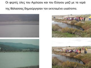 Oι φερτές ύλες του Aχελώου και του Eύηνου μαζί με τα νερά 
της θάλασσας δημιούργησαν τον εκτεταμένο υγρότοπο. 
 
