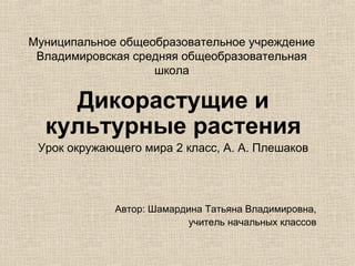 Презентация К Уроку | PPT
