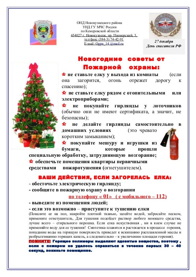 Новогодняя 42 1
