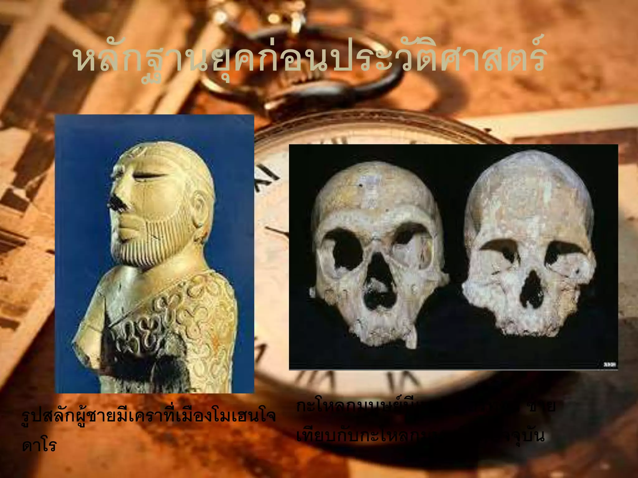 หลักฐานยุคก่อนประวัติศาสตร์ 
รูปสลักผู้ชายมีเคราที่เมืองโมเฮนโจ 
ดาโร 
กะโหลกมนุษย์นีแอนเดอร์ทอล ซ้าย 
เทียบกับกะโหลกมนุษย์ยุคปัจจุบัน 
 