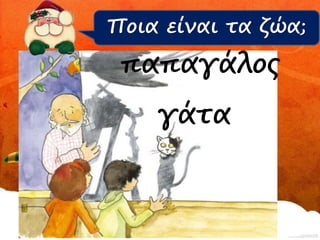Ποια είναι τα ζώα; 
παπαγάλος 
γάτα 
 