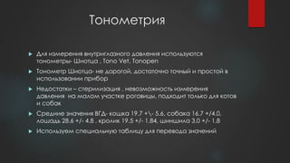 Ближайший кадр утомление ложь Вектор одесса собаки -
