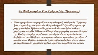 1η Φεβρουαρίου Του Τρύφου (Αγ. Τρύφωνος)
• Είναι η γιορτή που την γιορτάζουν οι αμπελουργοί, καθώς ο Αγ. Τρύφωνας
ήταν ο προστάτης των αμπελιών. Οι αμπελουργοί Σοζοπολίτες τιμούν την
μνήμη του Αγίου Τρύφωνα κάθε χρόνο από τότε που ήρθαν από την
χαμένη τους πατρίδα. Άλλωστε η Γέφυρα είναι φημισμένη για το καλό κρασί
της. Εκείνη την ημέρα πηγαίνουν στη εκκλησία γίνεται αρτοκλασία και
διαβάζονται τα κόλλυβα και τα σταφύλια, παίρνουν αγιασμό και ραντίζουν τ’
αμπέλια τους. Βράζουν κουρμπάνι ( μοσχαρίσιο κρέας) και γίνεται γλέντι
με παραδοσιακούς χορούς και άφθονο κρασί που μοιράζεται στο κόσμο.
 