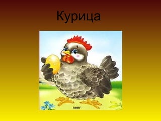 Курица
 