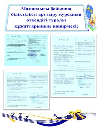 портфолио