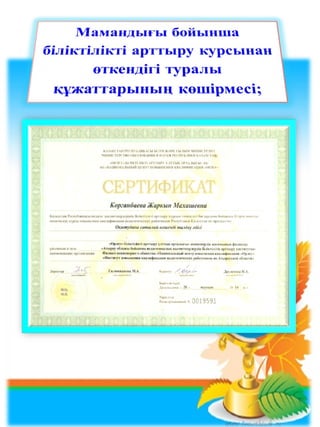портфолио