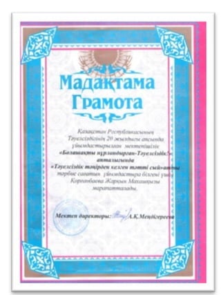портфолио