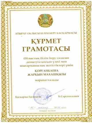 портфолио