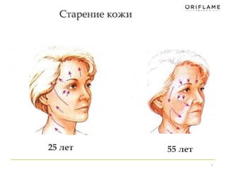 Старение кожи 
4 
25 лет 55 лет 
 