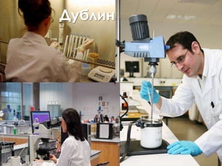 Дублин 
 