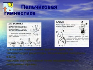 ППааллььччииккооввааяя 
ггииммннаассттииккаа 
•развивает мануальные (ручные) действия 
•активизирует рецепторы, посылающие импульсы 
в ЦНС 
•массаж акупунктурных точек воздействует на 
внутренние органы 
 