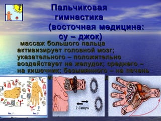 ППааллььччииккооввааяя 
ггииммннаассттииккаа 
((ввооссттооччннааяя ммееддииццииннаа:: 
ссуу –– дджжоокк)) 
ммаассссаажж ббооллььшшооггоо ппааллььццаа 
ааккттииввииззииррууеетт ггооллооввнноойй ммооззгг;; 
ууккааззааттееллььннооггоо –– ппооллоожжииттееллььнноо 
ввооззддееййссттввууеетт ннаа жжееллууддоокк;; ссррееддннееггоо –– 
ннаа ккиишшееччнниикк;; ббееззыыммяяннннооггоо –– ннаа ппееччеенньь 
ии ппооччккии;; ммииззииннццаа –– ннаа ссееррддццее.. 
 