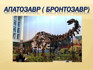 АПАТОЗАВР ( БРОНТОЗАВР) 
 