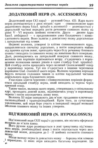 Нервові хвороби. Віничук С. М.,  2001.к-сть сторінок-397