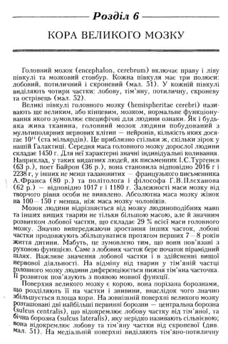 Нервові хвороби. Віничук С. М.,  2001.к-сть сторінок-397