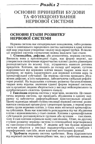 Нервові хвороби. Віничук С. М.,  2001.к-сть сторінок-397