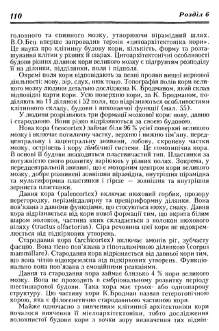 Нервові хвороби. Віничук С. М.,  2001.к-сть сторінок-397