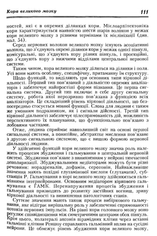 Нервові хвороби. Віничук С. М.,  2001.к-сть сторінок-397