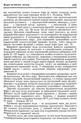 Нервові хвороби. Віничук С. М.,  2001.к-сть сторінок-397
