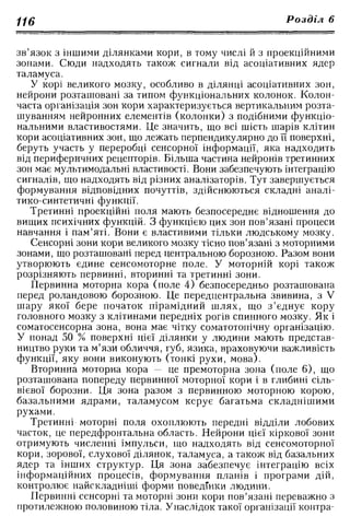 Нервові хвороби. Віничук С. М.,  2001.к-сть сторінок-397