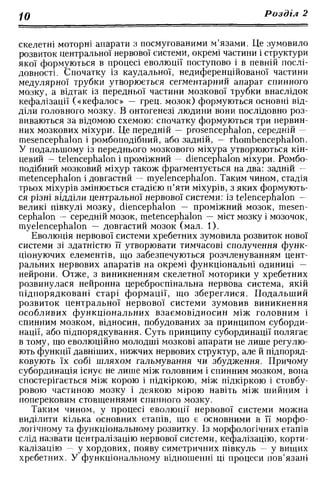 Нервові хвороби. Віничук С. М.,  2001.к-сть сторінок-397