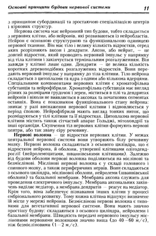 Нервові хвороби. Віничук С. М.,  2001.к-сть сторінок-397