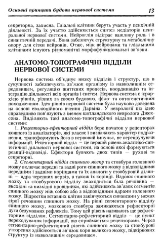 Нервові хвороби. Віничук С. М.,  2001.к-сть сторінок-397