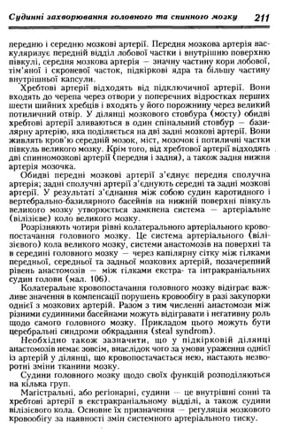 Нервові хвороби. Віничук С. М.,  2001.к-сть сторінок-397