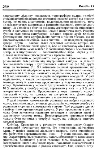Нервові хвороби. Віничук С. М.,  2001.к-сть сторінок-397