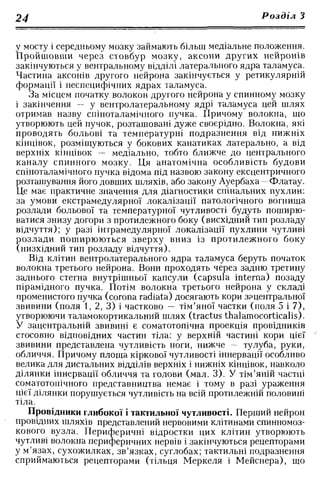 Нервові хвороби. Віничук С. М.,  2001.к-сть сторінок-397