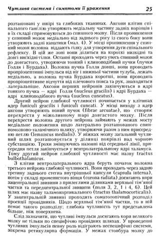 Нервові хвороби. Віничук С. М.,  2001.к-сть сторінок-397