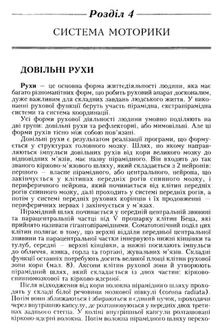 Нервові хвороби. Віничук С. М.,  2001.к-сть сторінок-397