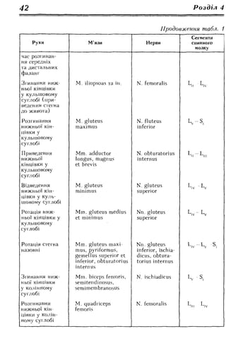 Нервові хвороби. Віничук С. М.,  2001.к-сть сторінок-397