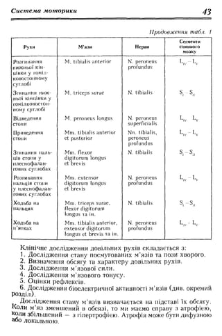 Нервові хвороби. Віничук С. М.,  2001.к-сть сторінок-397