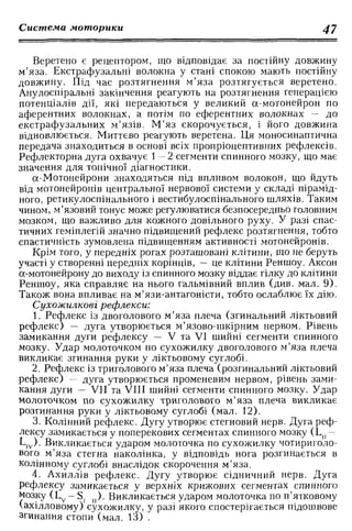Нервові хвороби. Віничук С. М.,  2001.к-сть сторінок-397