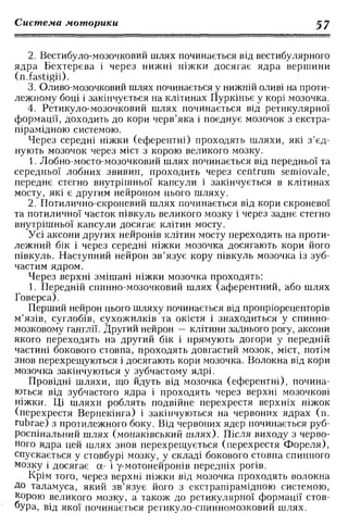 Нервові хвороби. Віничук С. М.,  2001.к-сть сторінок-397