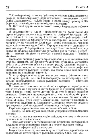 Нервові хвороби. Віничук С. М.,  2001.к-сть сторінок-397