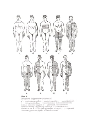 Нервові хвороби. Віничук С. М.,  2001.к-сть сторінок-397