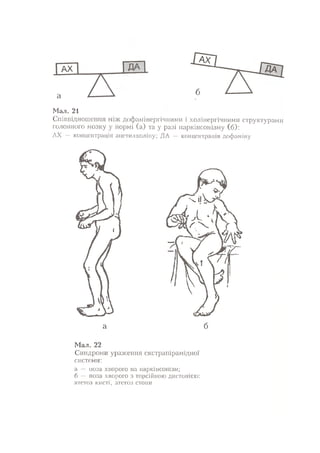 Нервові хвороби. Віничук С. М.,  2001.к-сть сторінок-397