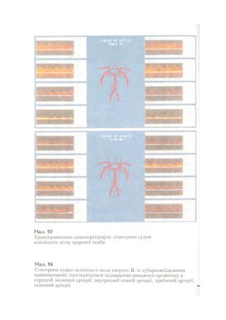 Нервові хвороби. Віничук С. М.,  2001.к-сть сторінок-397